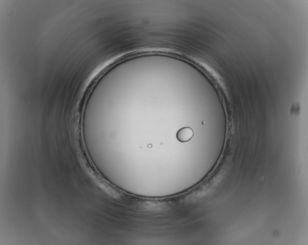X0000091450933200708161044
