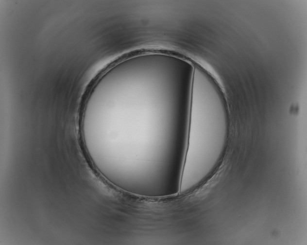 X0000091450935200708161044