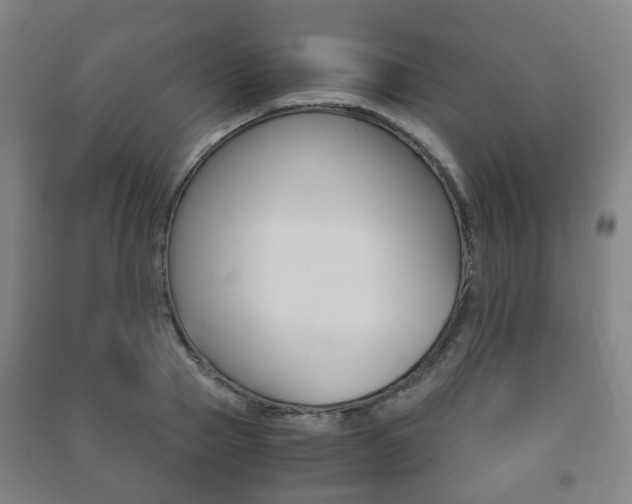 X0000091450937200708161044
