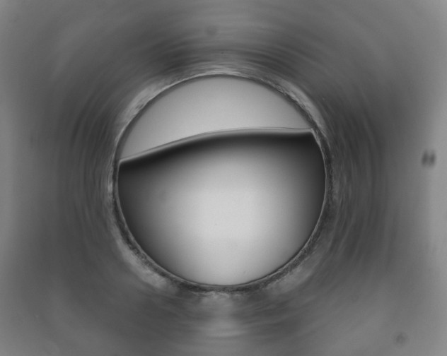 X0000091450938200708161044