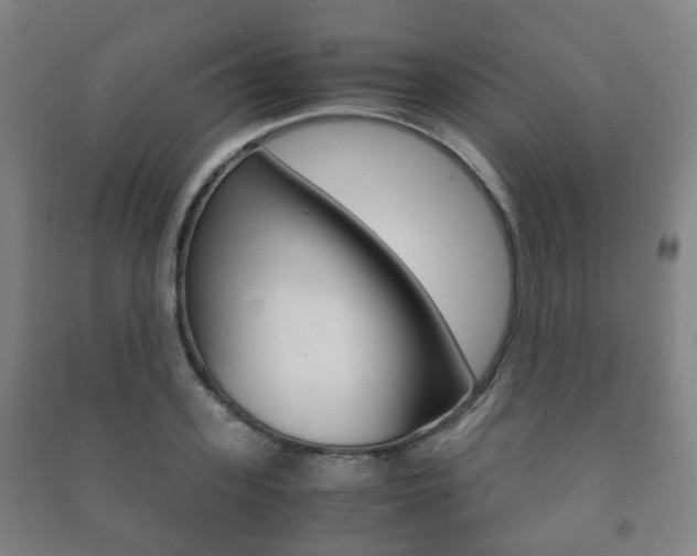 X0000091450939200708161044