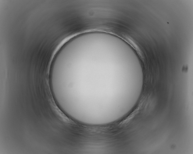 X0000091450940200708161044