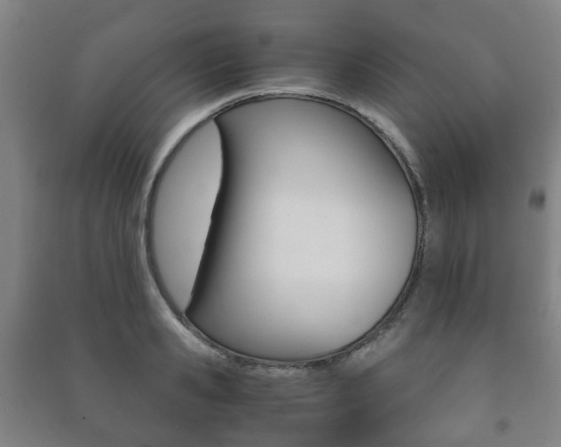 X0000091450941200708161044