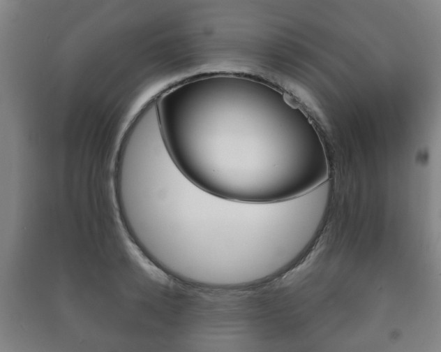 X0000091450942200708161044