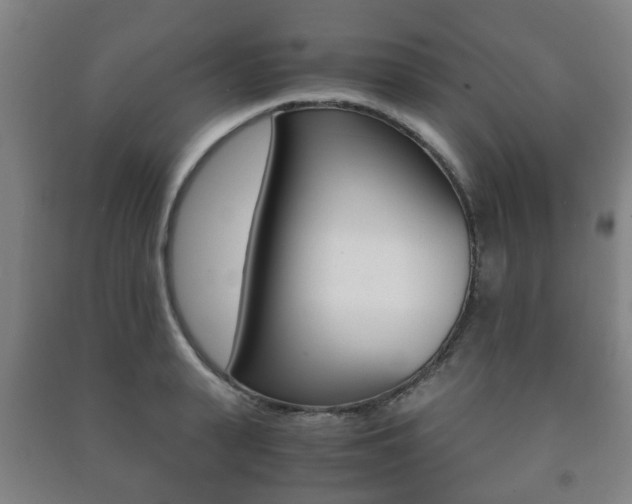 X0000091450943200708161044