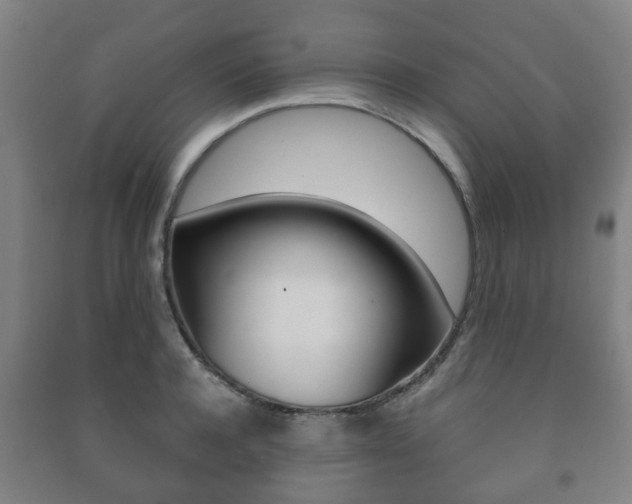X0000091450944200708161044
