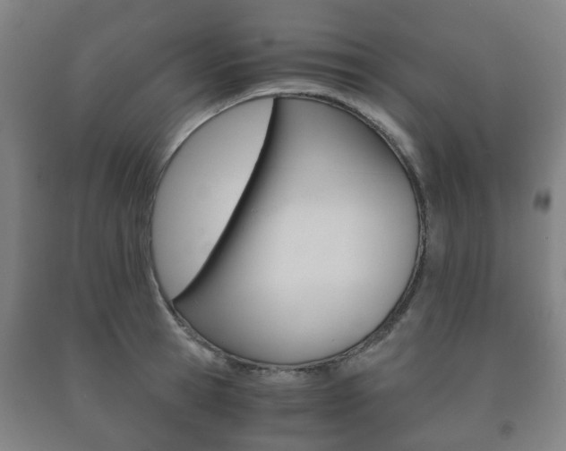 X0000091450945200708161044