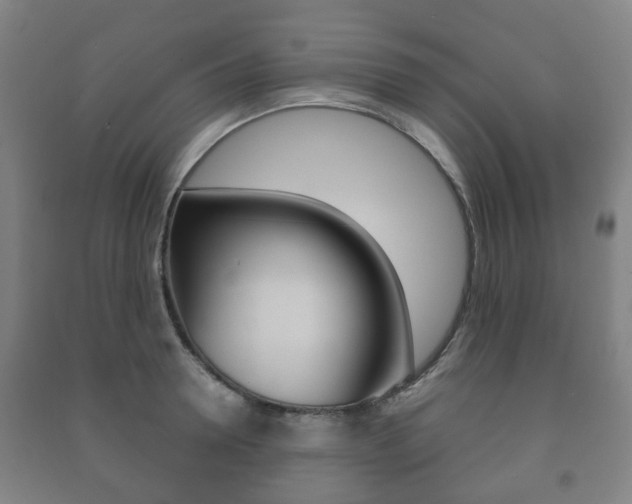 X0000091450946200708161044