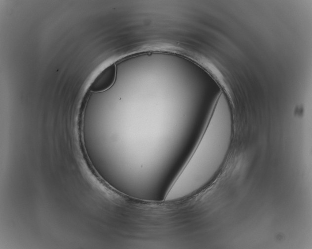 X0000091450947200708161044