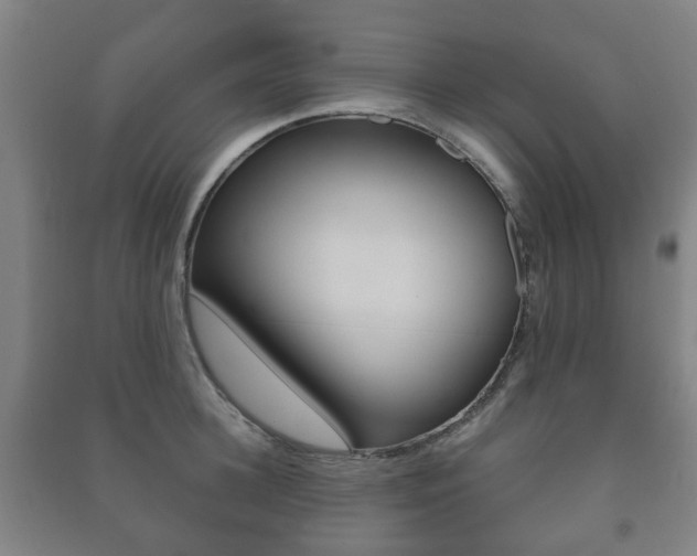 X0000091450948200708161044