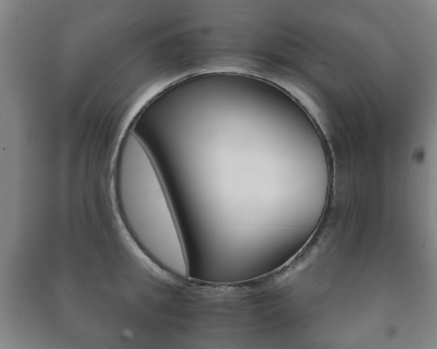 X0000091450949200708161044