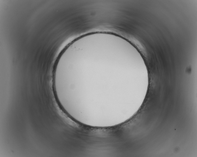 X0000091450950200708161044