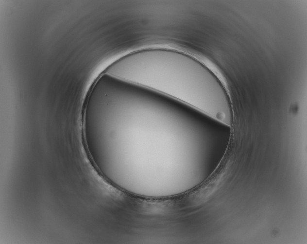 X0000091450951200708161044
