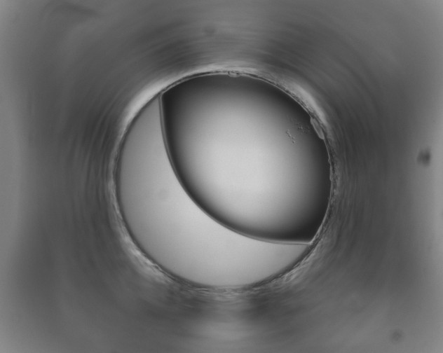X0000091450952200708161044
