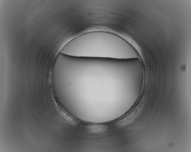 X0000091450953200708161044