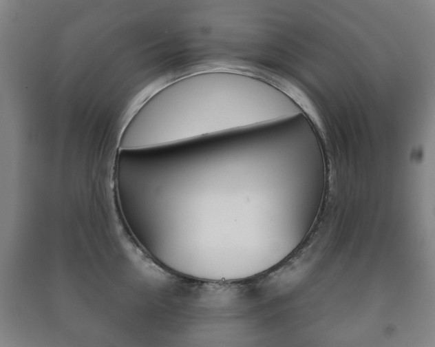 X0000091450954200708161044