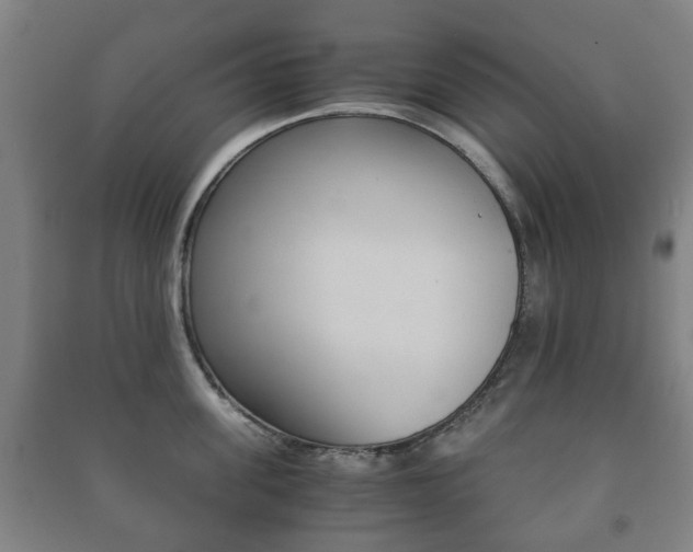 X0000091450955200708161044