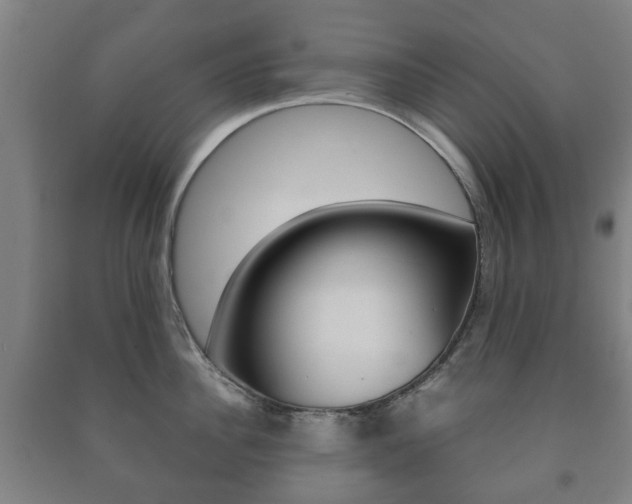 X0000091450956200708161044