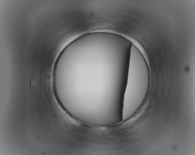X0000091450957200708161044