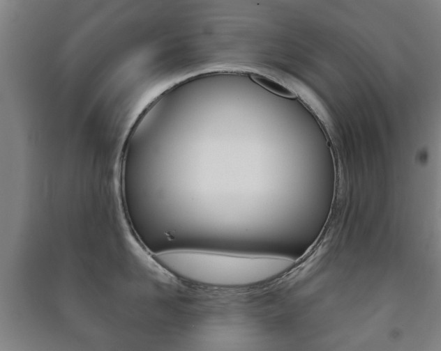 X0000091450958200708161044