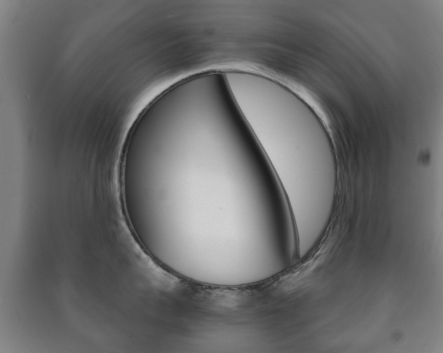 X0000091450959200708161044