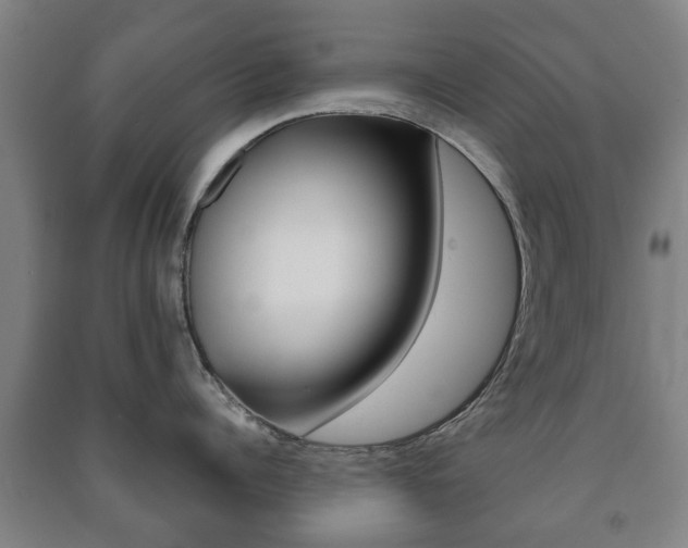 X0000091450960200708161044