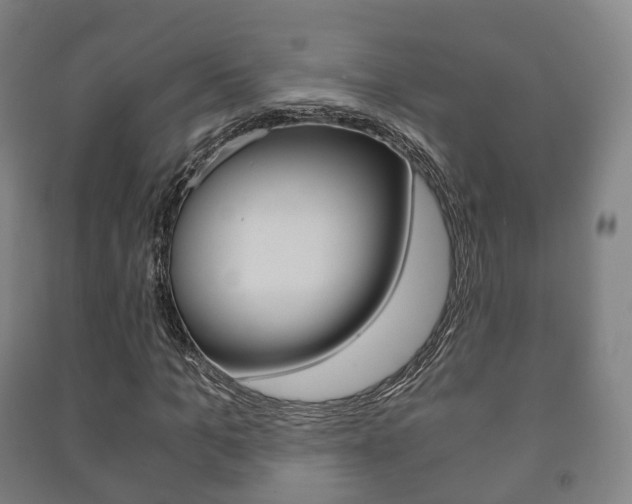 X0000091450965200708161044