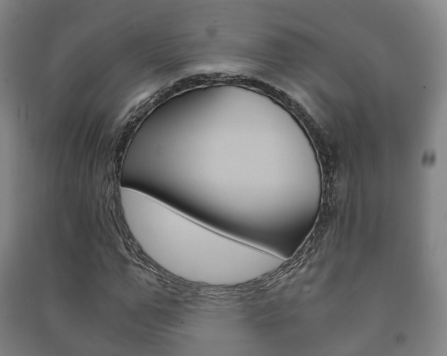X0000091450967200708161044