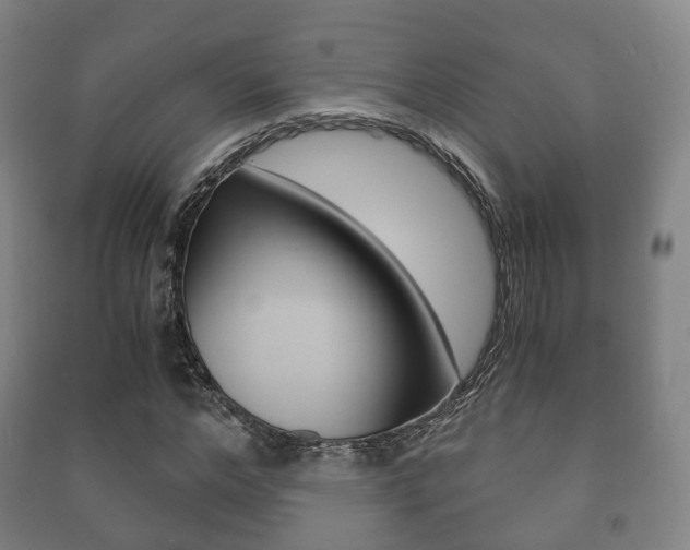 X0000091450968200708161044
