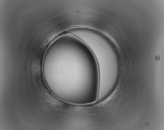 X0000091450969200708161044