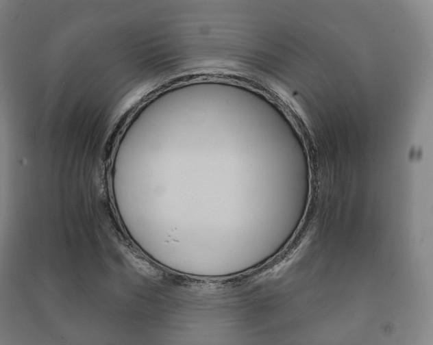 X0000091450970200708161044