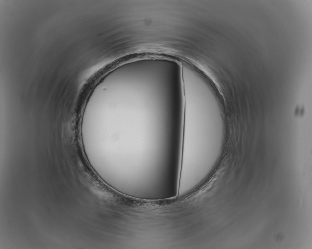 X0000091450971200708161044
