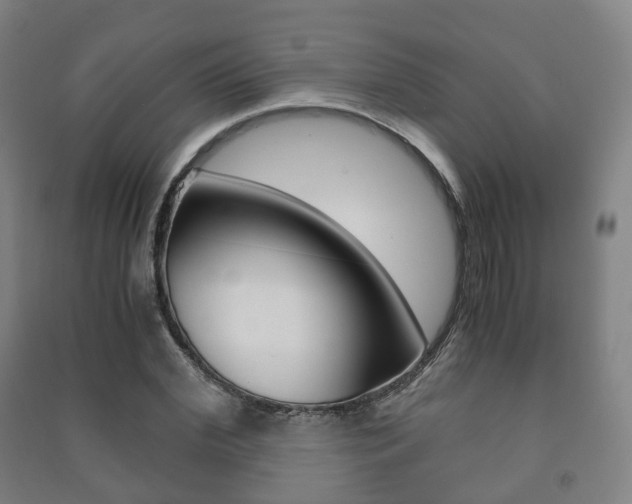 X0000091450972200708161044