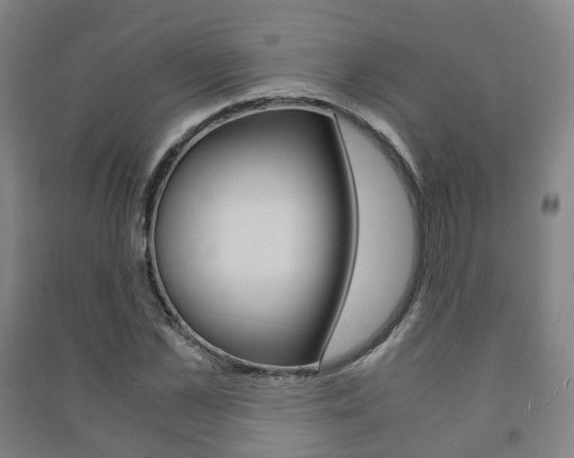 X0000091450973200708161044