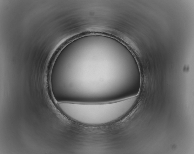 X0000091450976200708161044