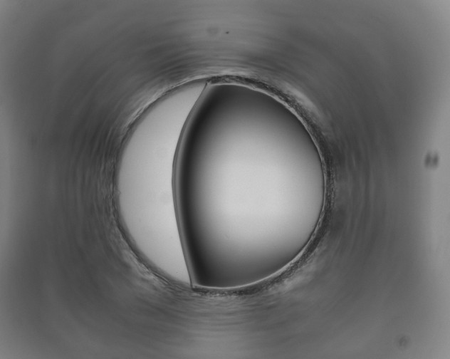 X0000091450977200708161044
