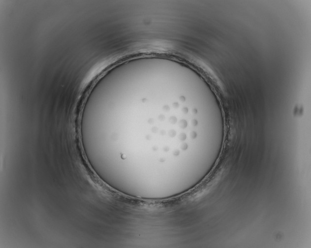 X0000091450978200708161044