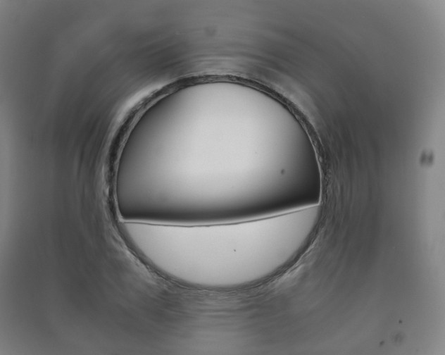 X0000091450979200708161044