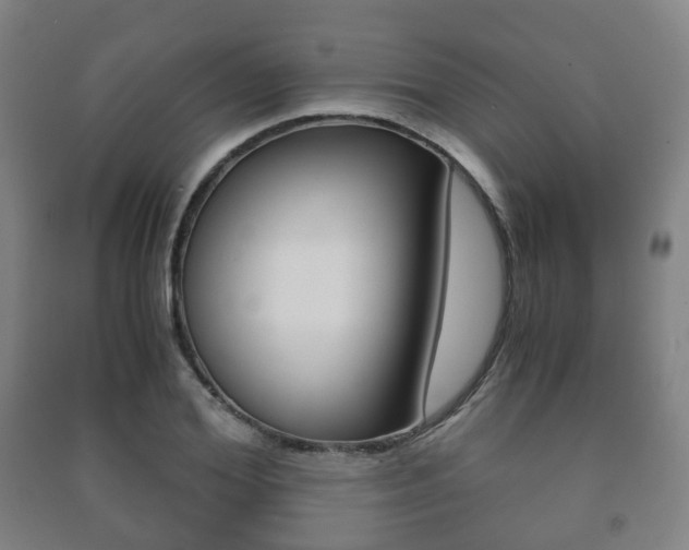 X0000091450980200708161044