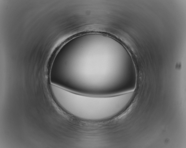 X0000091450981200708161044