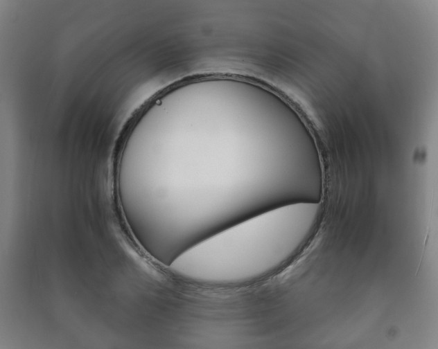 X0000091450982200708161043