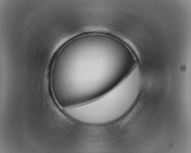 X0000091450983200708161043
