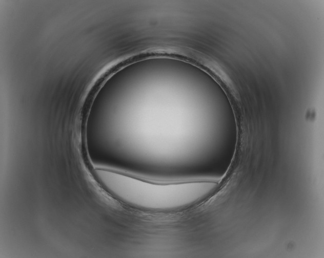 X0000091450984200708161043