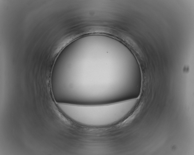 X0000091450985200708161043