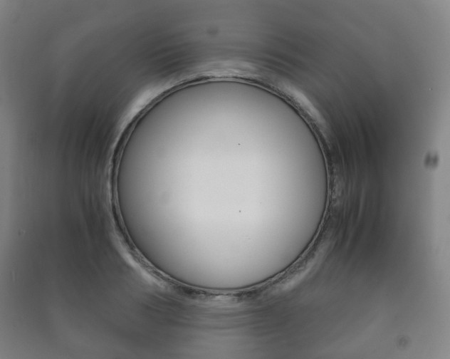 X0000091450986200708161043