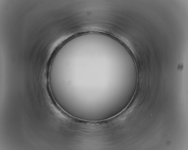 X0000091450987200708161043