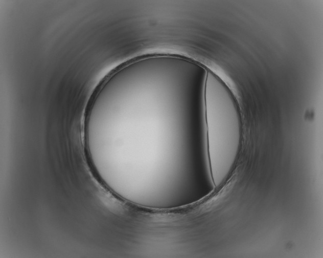 X0000091450988200708161043