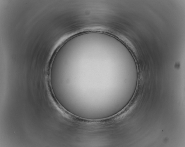 X0000091450989200708161043