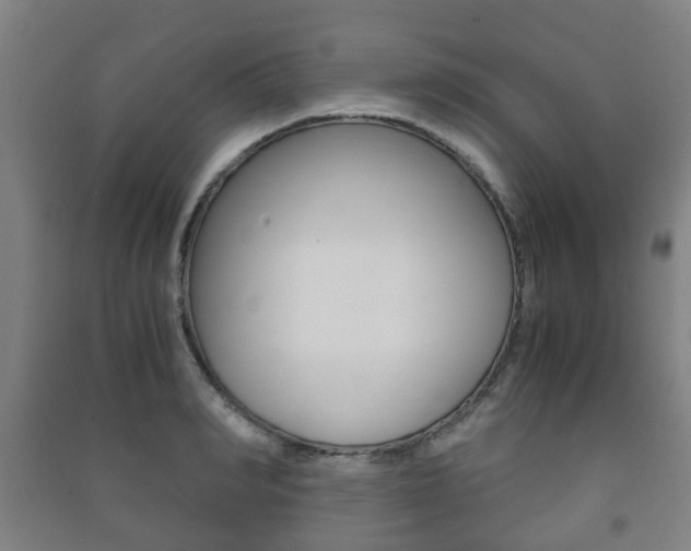 X0000091450990200708161043
