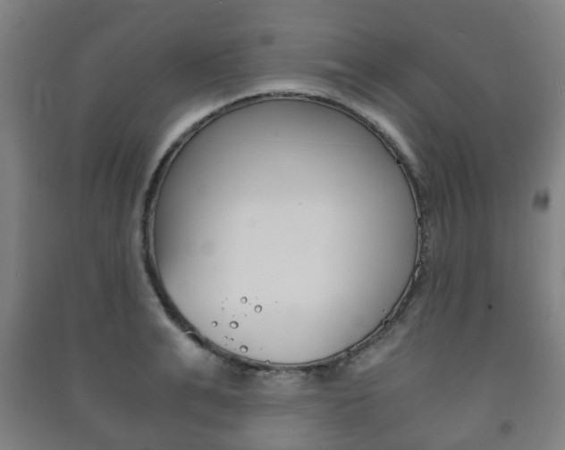 X0000091450991200708161043